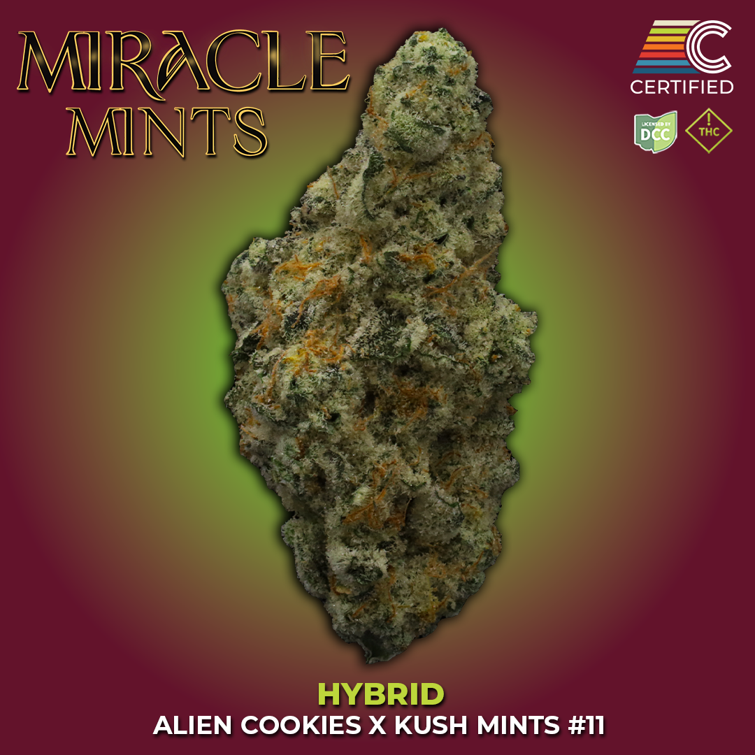 Miracle Mints Strain | Hybrid Cannabis Flower | CERTIFIED